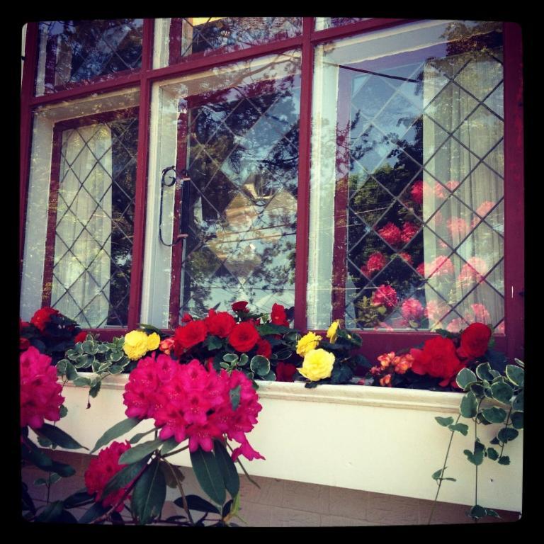 Belgravia B&B Труро Экстерьер фото